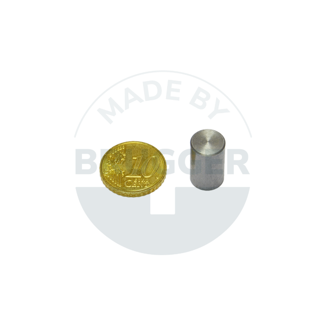 Aimant grappin en AlNiCo boîtier en acier Tolérance d'ajustement  h6 10mm | © Brugger GmbH
