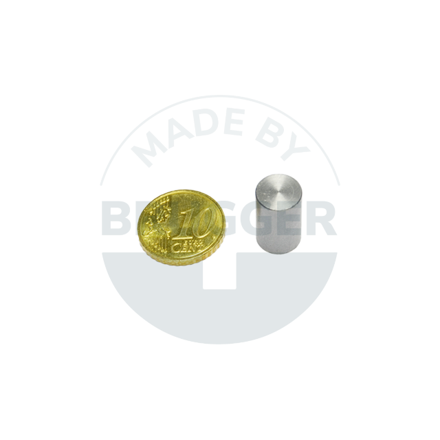 Aimant grappin en NdFeB boîtier en acier tolérance d'ajustement  h6 10mm | © Brugger GmbH