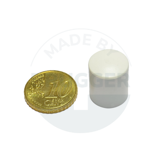 Cylinder magnet 14mm white | © Brugger GmbH
