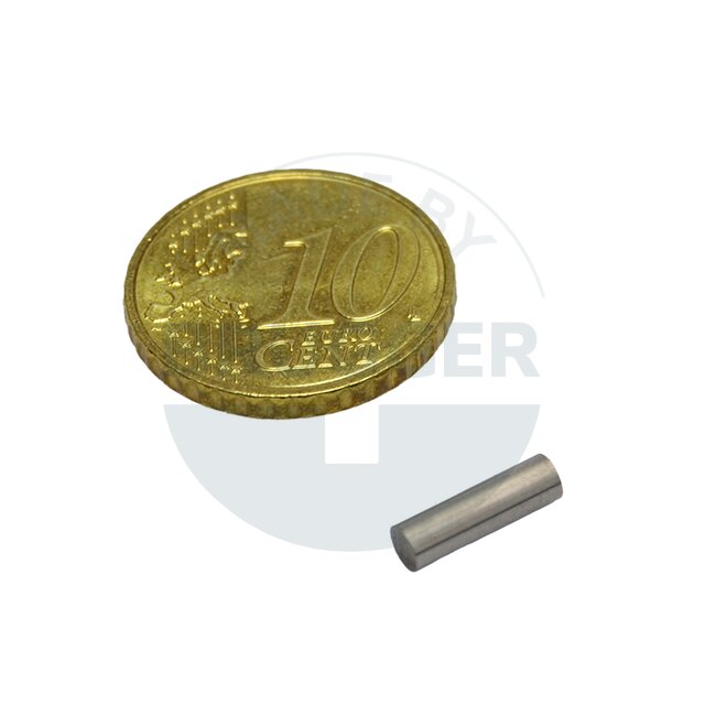 Bar magnet cylinder shape 3x10mm | © Brugger GmbH