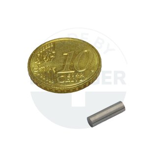 Stabmagnet Zylinderform 3x10mm | © Brugger GmbH