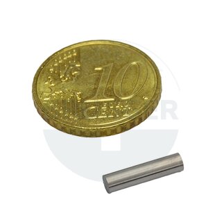 Stabmagnet Zylinderform 3x12mm | © Brugger GmbH