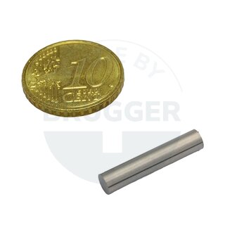 Stabmagnet Zylinderform 4x20mm | © Brugger GmbH