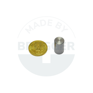 Bar grips of AlNiCo steel housing fitting tolerance h6 10mm | © Brugger GmbH